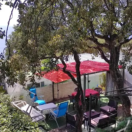 Ma Salamandre Saint-Raphael (Var)